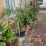 Murko P-4 Apartma