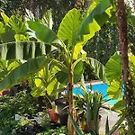 Apartma Murko P-4 *