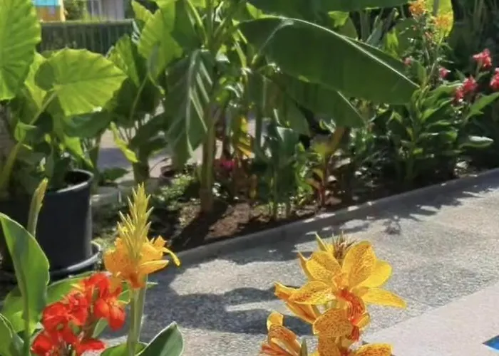 Murko P-4 Apartament