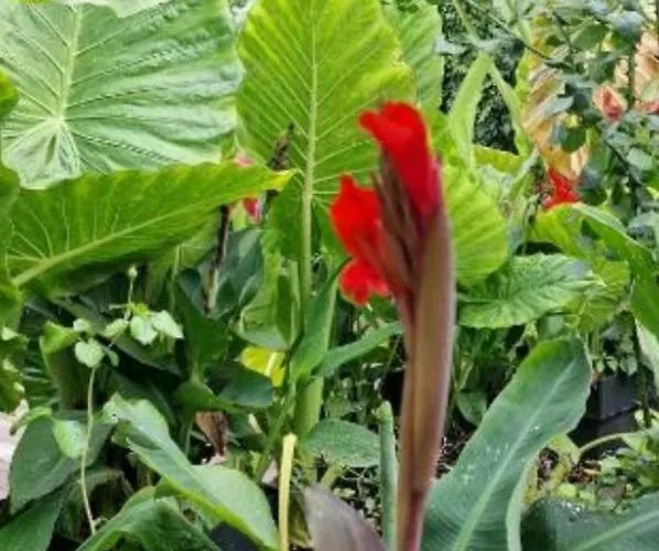 Apartament Murko P-4 Lublana