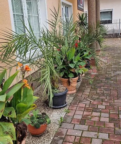 Murko P-4 Apartament