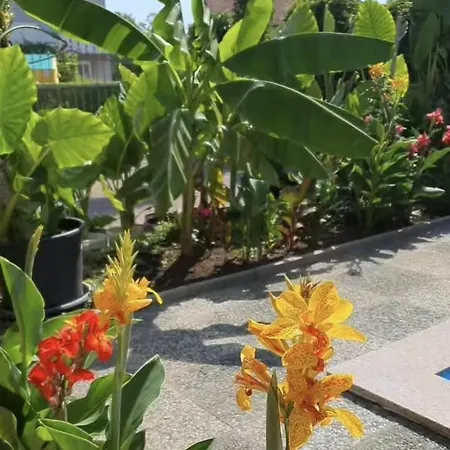 Murko P-4 Апартаменты