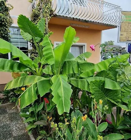 Murko P-4 Apartament