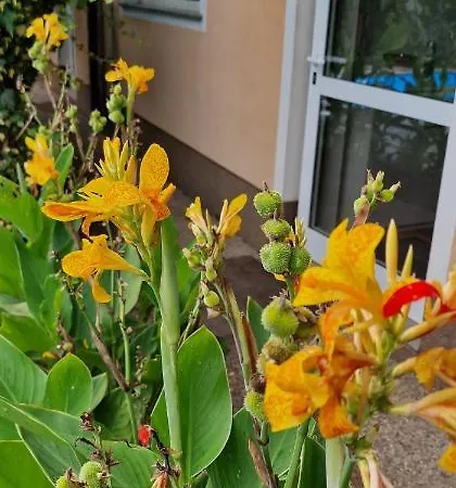 Murko P-4 Апартаменты Любляна