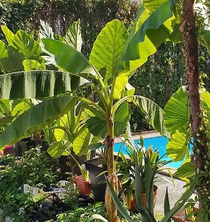 Апартаменты Murko P-4 *