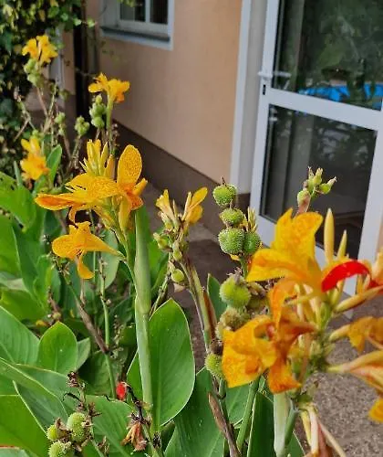 Murko P-4 Apartment Laibach