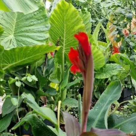 公寓 Murko P-4 卢布尔雅那